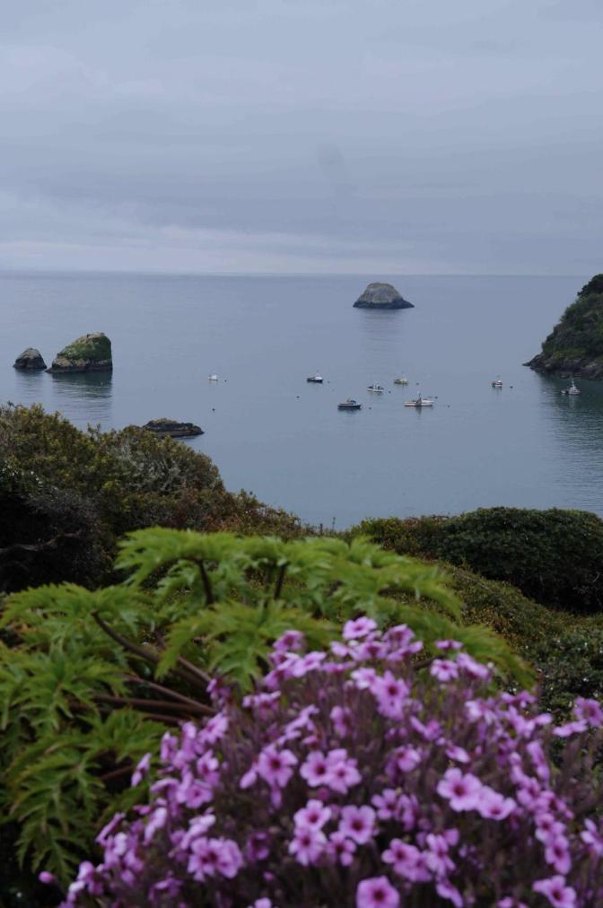 Bay * Trinidad