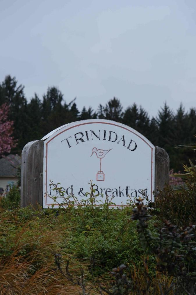 Lookout At Trinidad Bay Hotel